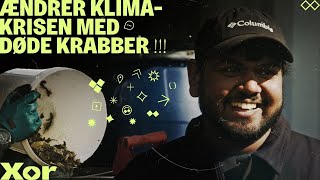 Happy vil lave milliarder på døde krabber  Side Hustle [upl. by Pudens]