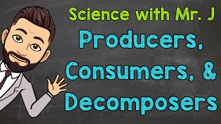 Producers Consumers and Decomposers  Ecosystems [upl. by Fritts]