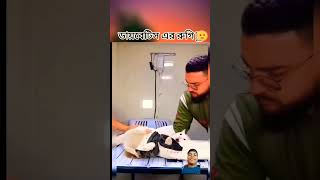 ফানি ভিডিও 🤣🤣😂🤣🤣viralvideo funny cat animals comedy catlover viralvideo shortsvideo [upl. by Naujahs]