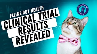 Feline Gut Health Clinical Trial Results with Innovative Pet Lab [upl. by Fabio]