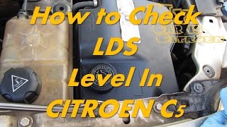 Citroen C5  How to Check LDS Level  Citroen Hydractive Suspension Fluid Level [upl. by Ailedo]