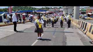 Banda de música Reina Torres Araúz 4 de nov Marchas Panameñas [upl. by Mian]