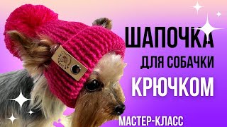 Стильная шапка с помпоном для собаки крючком Подробный мастеркласс по вязанию [upl. by Etnovaj]