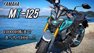 【YAMAHA MT125】高回転でコーナーを攻めたくなる…！遊び心“VVA”を搭載した最強の原二が到来！！ [upl. by Allez14]