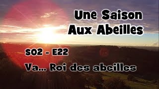 USaA  S02E22  Va Roi des abeilles [upl. by Cornew]