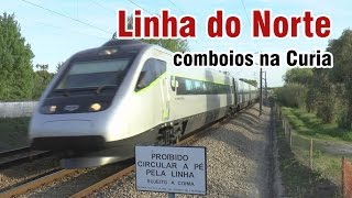 Comboios Alfa Pendular e Intercidades na Curia [upl. by Kciv]