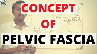 CONCEPT OF PELVIC FASCIA [upl. by Edlitam]