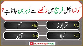 islami Urdu Paheliyan  Islamic Riddles  اسللامی سوال جواب اور معلومات  islamic Questions 621 [upl. by Akieluz867]