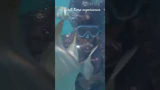 Scuba diving goa scubadiving fish trip travel sea [upl. by Noli327]