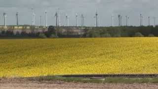 Rapsfelder amp Windparks bei Altentreptow [upl. by Anual589]