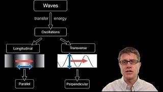 Transverse and Longitudinal Waves [upl. by Wardlaw585]