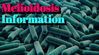 Melioidosis Information 🔬Tier3 Infectious Disease [upl. by Gerome446]