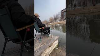 ironwood Comfortable and portable European style fishing chaiviralvideo viralshort youtubeshorts [upl. by Enitram]