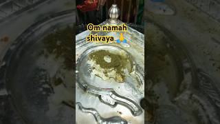 Om namah shivaya mantra om shiv omletarcade omnamahshivaya music viralreels viralvideo [upl. by Carper]