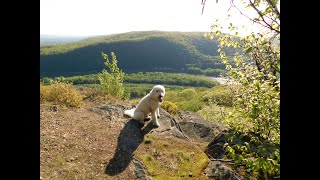 Campbells Ledge Lookout Trail Duryea PA Worth the climb What a view [upl. by Tobias]