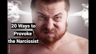 20 Ways to Provoke the Narcissist to Meltdown Tantrum Apoplexy [upl. by Aneelak]