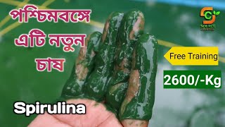 একটি নতুন চাষ স্পিরুলিনা  Spirulina Farming In West Bengal  Small Invest Business [upl. by Macy]