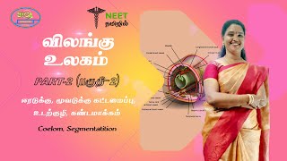 Animal Kingdom  Part 2  Coelom  Segmentation  NEET Tamil  NEET Biology [upl. by Dib]