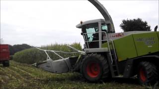 Ensilage Maïs 2015  Bretagne  Corn Silage [upl. by Hareenum615]