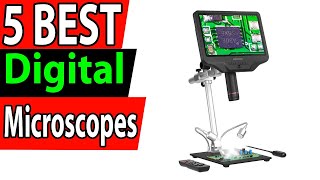 5 Best Digital Microscopes Review 2024 [upl. by Sculley96]