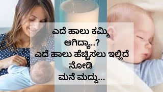 ಬಾಣಂತಿಯರು ಎದೆ ಹಾಲು ಹೆಚ್ಚಿಸಲು ಮನೆ ಮದ್ದು Foods that help increase milk supply how to increase BMILK [upl. by Ayocal561]