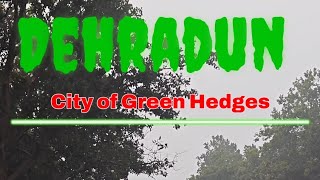 DehradunCity of green hegdes Doon Valley greenery cleanrefreshing forestshorts [upl. by Lebasi]