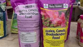 Azalea Camellia and Rhododendron Fertilizer by Fertilome  Quick Video Instructions by Chad Harris [upl. by Niko]