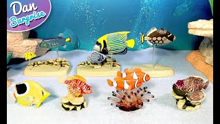 12 Fascinating Sea Animals 3D Puzzle Toys  Blue Tang Lion Fish Clownfish Stonefish Box Fish [upl. by Dolora556]