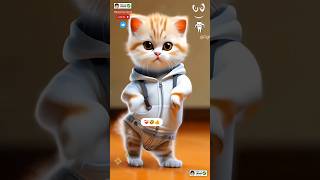 Cat dance Cute kitten ❤️‍🩹 catlovecats cats catvideos kittenscatlover princesscat kitten [upl. by Talbot]