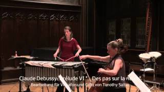 Claude Debussy  Préludes V amp VI Cello und Vibrafon [upl. by Annabal]