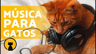 MÚSICA RELAJANTE para GATOS 🐱🎶 ¡Relaja y Calma a tu Gato en Minutos [upl. by Sutniuq]