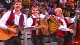 Low quality Trio Melody  Mein Heimatland Tirol Heimatmelodie 1992 [upl. by Anaik]