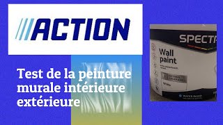 Test de la peinture murale Action [upl. by Sykes822]