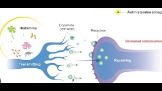 약국에서써본세번째약이야기박정완antihistamineallergy진정작용항콜린성액티피드콧물2세대 보나링주의력떨어짐유시락스piperazine가려움증항구토제 [upl. by Kress]