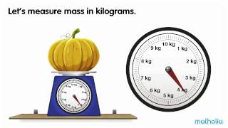 Using a Scale  Kilograms [upl. by Gnagflow177]