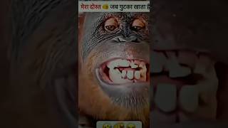 Jab mera bhai gutka khata hai😂😂 trending funny viralvideo shortvideos [upl. by Ardien]