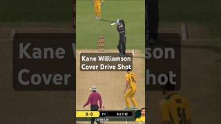 Kane Williamson Cover Drive Shot shorts shortsfeed viralshorts cricketshorts [upl. by Etnoel]