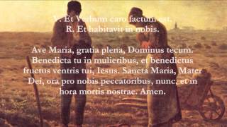 Catholic Prayers  Angelus Latin [upl. by Ahsinel]