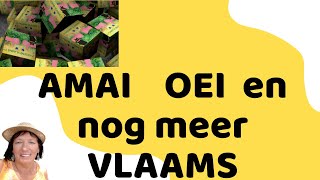 AMAI OEI en nog meer Vlaams [upl. by Arriet372]