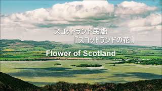 【和訳付き】スコットランドの花（スコットランド民謡）  quotFlower of Scotlandquot [upl. by Mesics86]