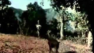 banma fulyo  original video from sindur nepali movie [upl. by Syla380]