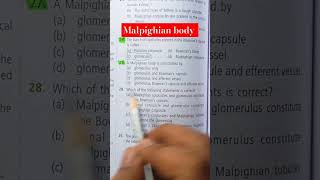 NEET ✅️✅️ malpighian body is constitued by youtubeshort neet biologybook [upl. by Vasquez286]