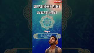 Relaxing Soft Voice  Marvelous Quran  Hidayat de Mola shorts [upl. by Pega177]