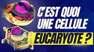 Questce quune cellule eucaryote Explication et définition [upl. by Honniball]