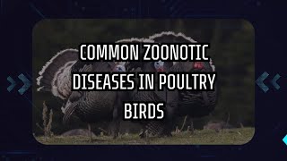 COMMON ZOONOTIC DISEASES IN POULTRY BIRDS [upl. by Melamed]