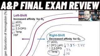 AampP Final Exam Review Part 1 [upl. by Gravante]