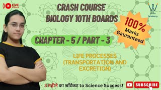 Transportation and Excretion  Easy Breakdown for Exams Chapter 5 Class10 [upl. by Anaidirib]