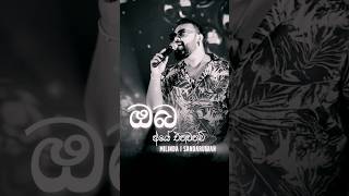 Oba Aye Enawanam  ඔබ ආයේ එනවනම්  Milinda Sandaruwan milindasandaruwan 2024songs [upl. by Bertelli274]