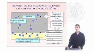 Separación e identificación de los ácidos tartárico málico y láctico en muestras de vinos   UPV [upl. by Nessaj]