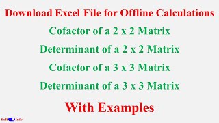 Calculate Cofactor and Determinant of 2x2 and 3x3 Matrices  Examples and Excel File [upl. by Ynnaf]